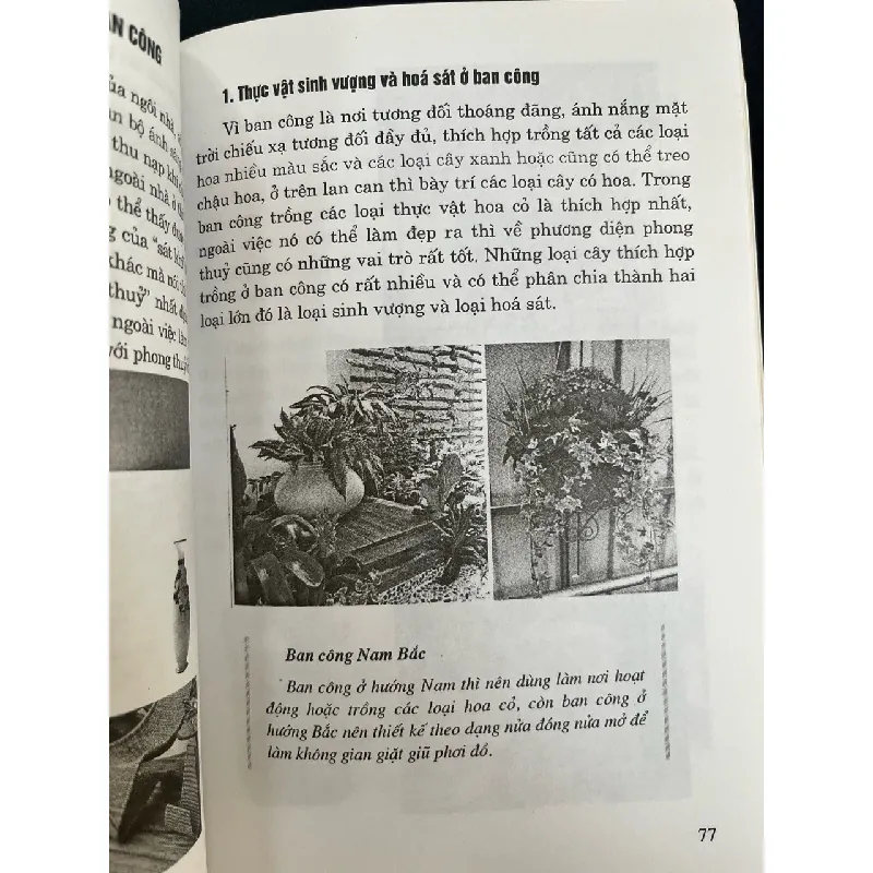 Phong thuỷ vườn tược nhà ở cây xanh trong nhà - KS. Xuân Phú Hưng, Việt Hà 706095