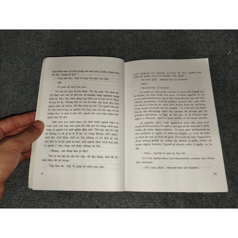 CHÚ BÉ HOÀNG TỬ 499217