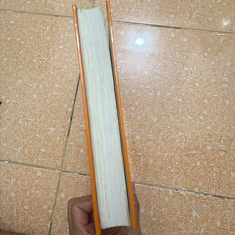 Không gia đình - Hector Malot 447319