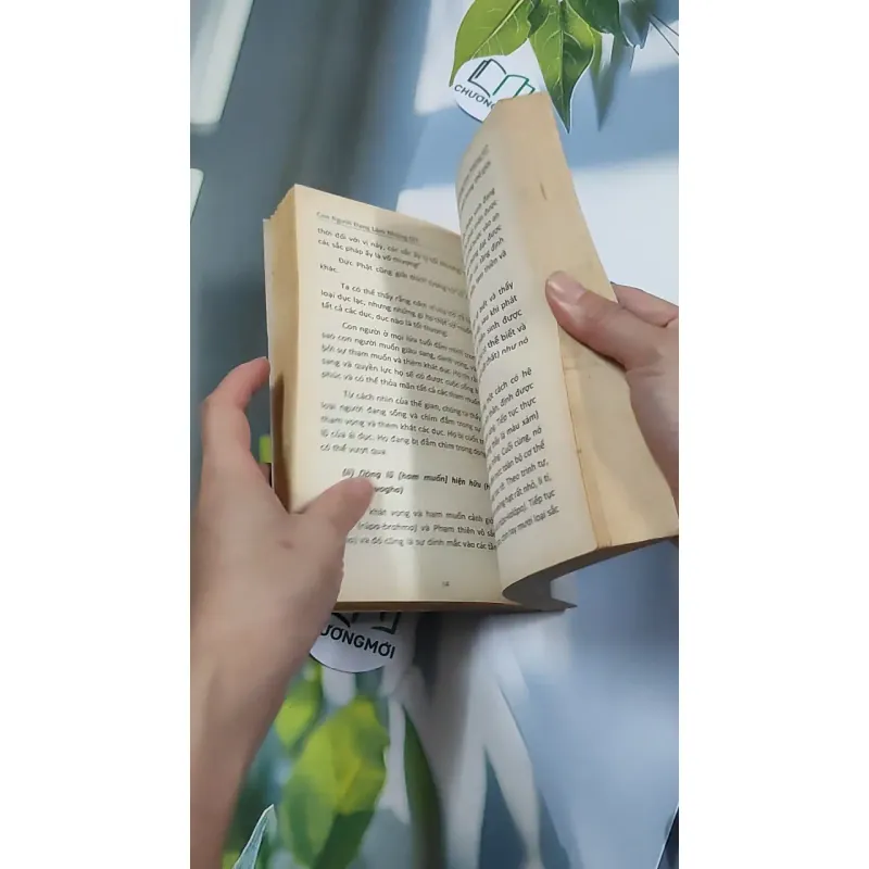 Thức Tỉnh Đi, Thế Gian Ơi! - Tỳ-kheo Revata 776133