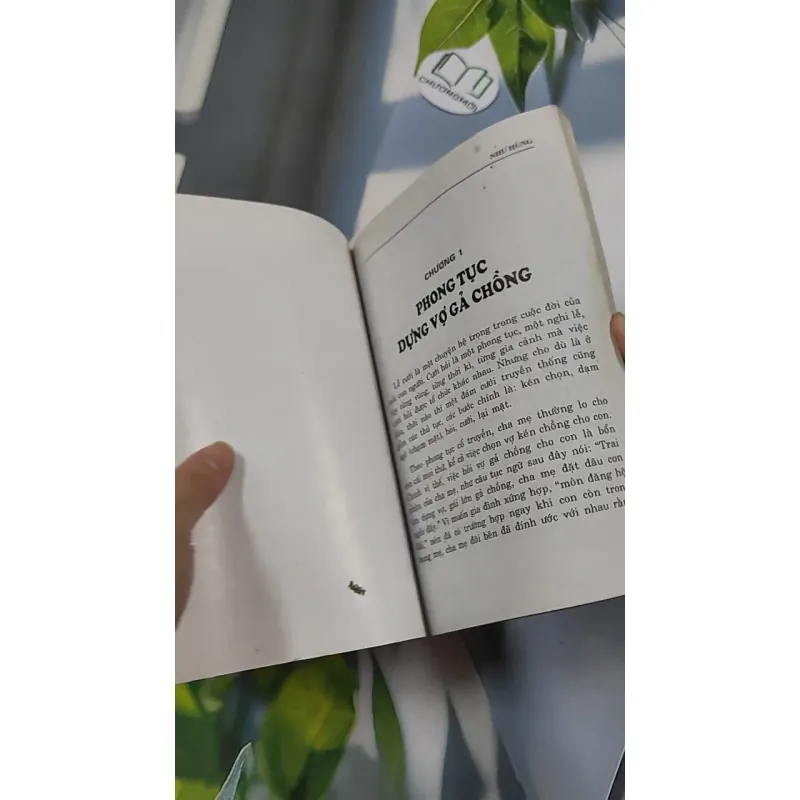 Phong Tục Dựng Vợ Gả Chồng - Như Hùng 776135