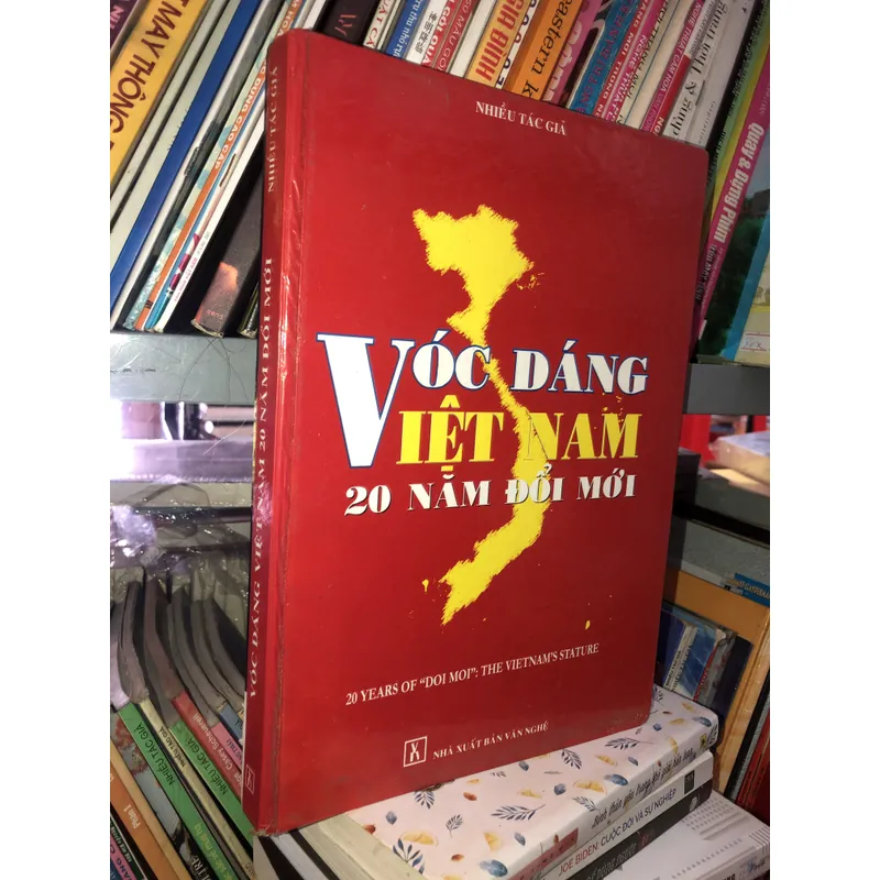 Vóc dáng Việt Nam 20 năm đổi mới  721068