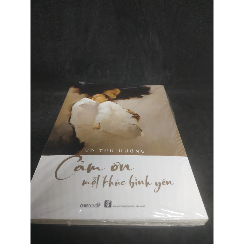 Cảm ơn một khúc bình yên mới 100% HCM3001 910779