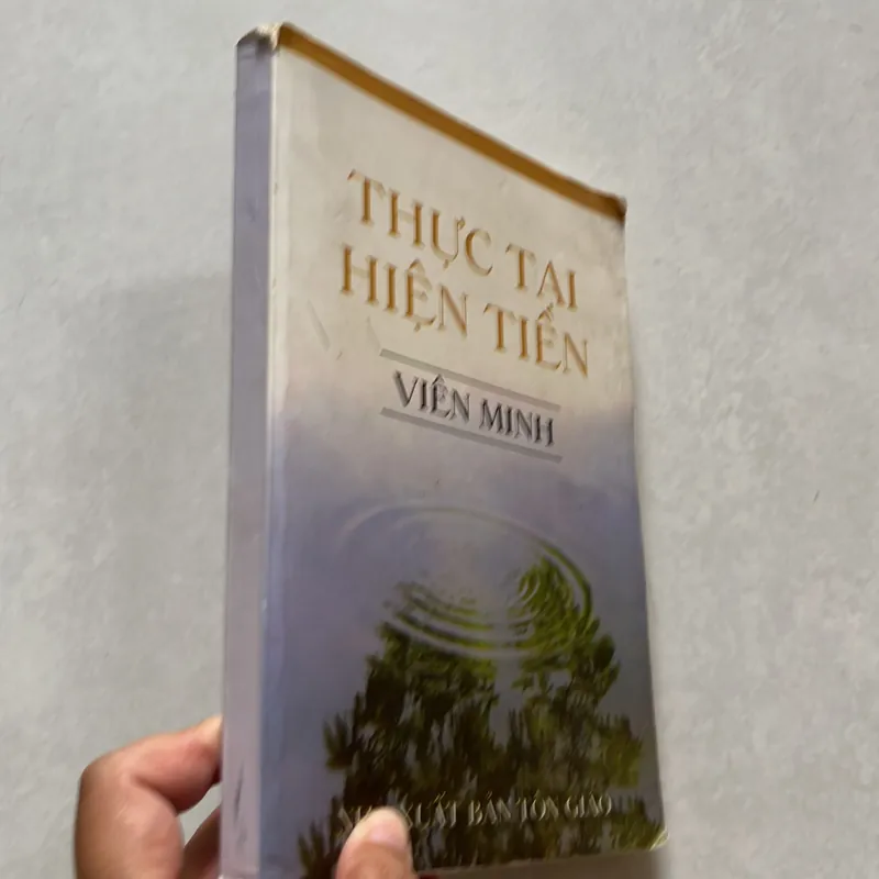 Thực tại hiện tiền - Viên Minh 625579