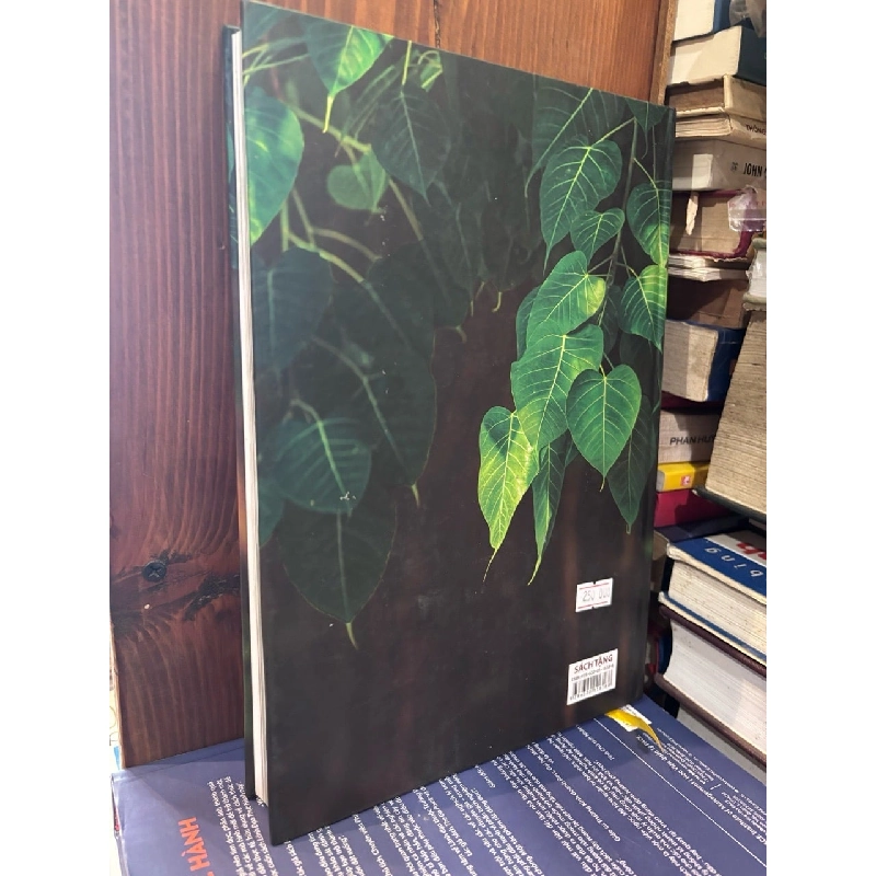 Bồ Đề Tân Văn - Thiền viện Trúc Lâm Trí Đức 1010984