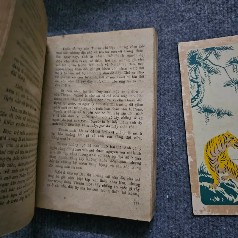 Nhà đồi - quang dũng 748544