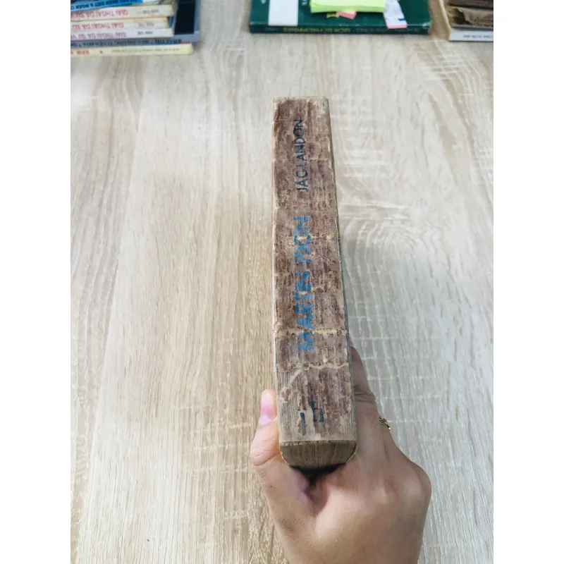 MARTIN IDON ( Tiểu thuyết) 929043