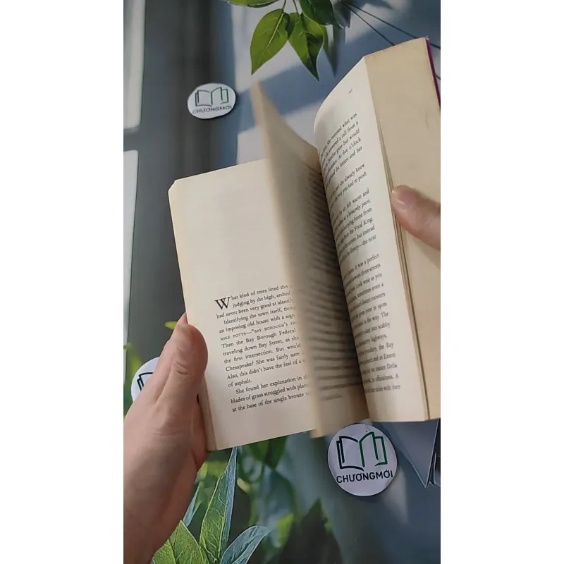 Ladder of Years - Anne Tyler 1033588