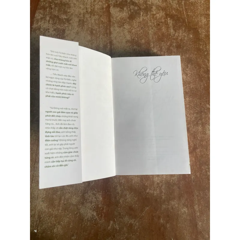 KHÔNG THỂ YÊU- GIANG VŨ HẠM 728648