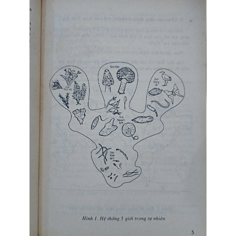 Hỏi đáp về thế giới thực vật - Nguyễn Lân Dũng 1000787