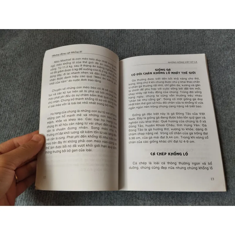 NHỮNG ĐỘNG VẬT KỲ LẠ 719837