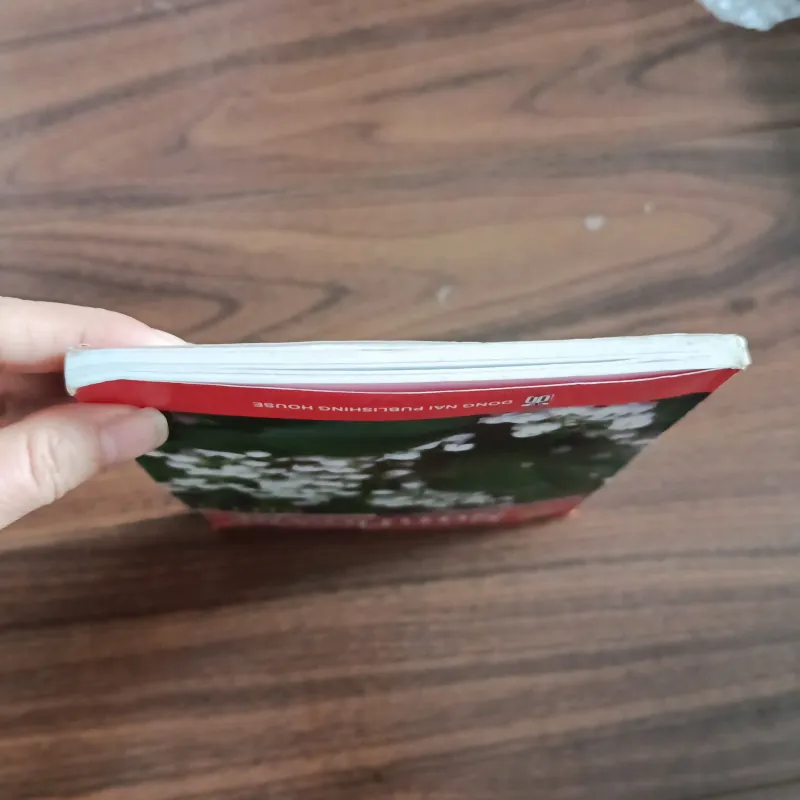 Sunflower song ngữ anh việt 761423