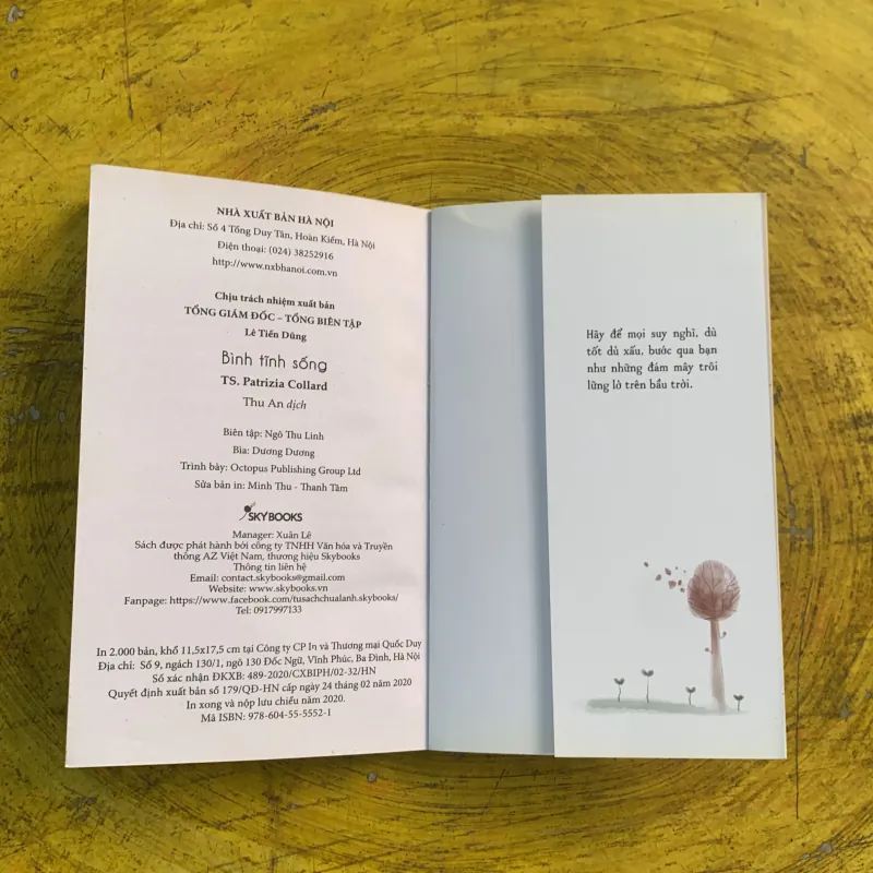 COMBO BÌNH TĨNH SỐNG & ĐIỀU DIỆU KỲ TỪ CÁCH NHÌN CUỘC SỐNG 790780