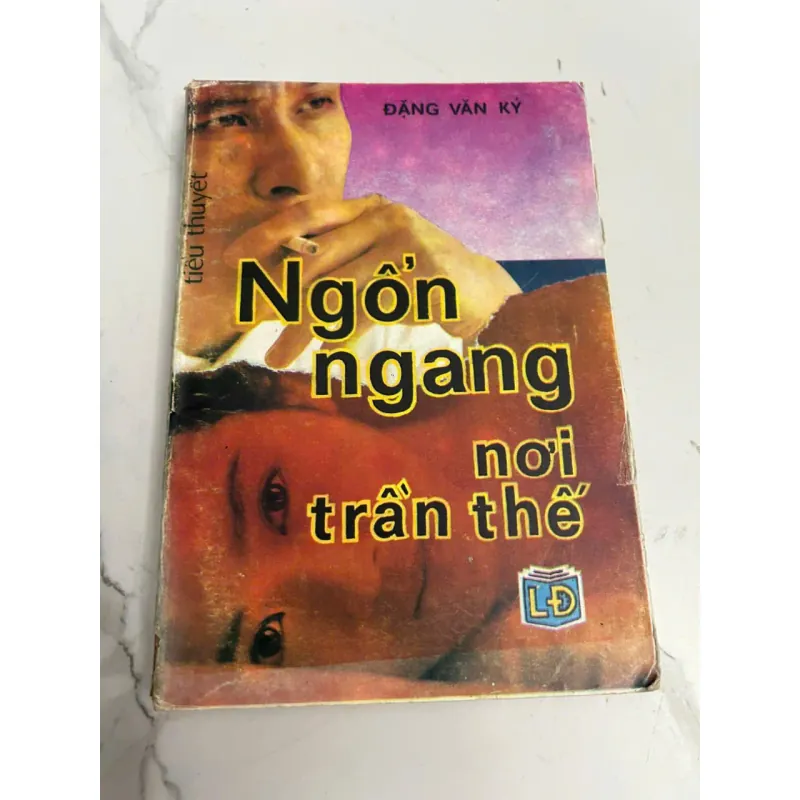 Ngổn Ngang Nơi Trần Thế (Tiểu thuyết) - Đặng Văn Kỳ 639344