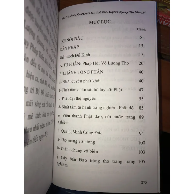 Khai Thị Luận Kinh đại bảo tích pháp hội vô lượng thọ như lai  734446