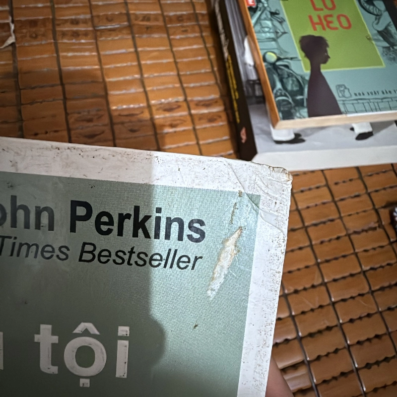 Lời thú tội của một sát thủ kinh tế - John Perkins 463114