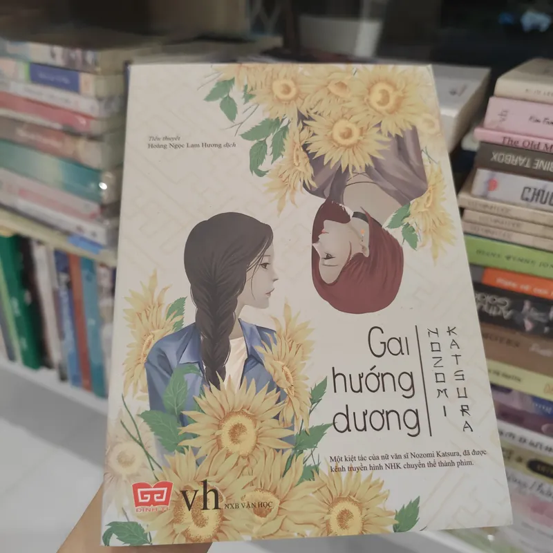 Gai Hướng Dương  562986