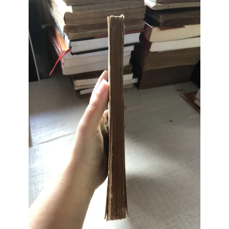 Kinh tế chính trị Mác Lê Nin chủ nghĩa xã hội 971338