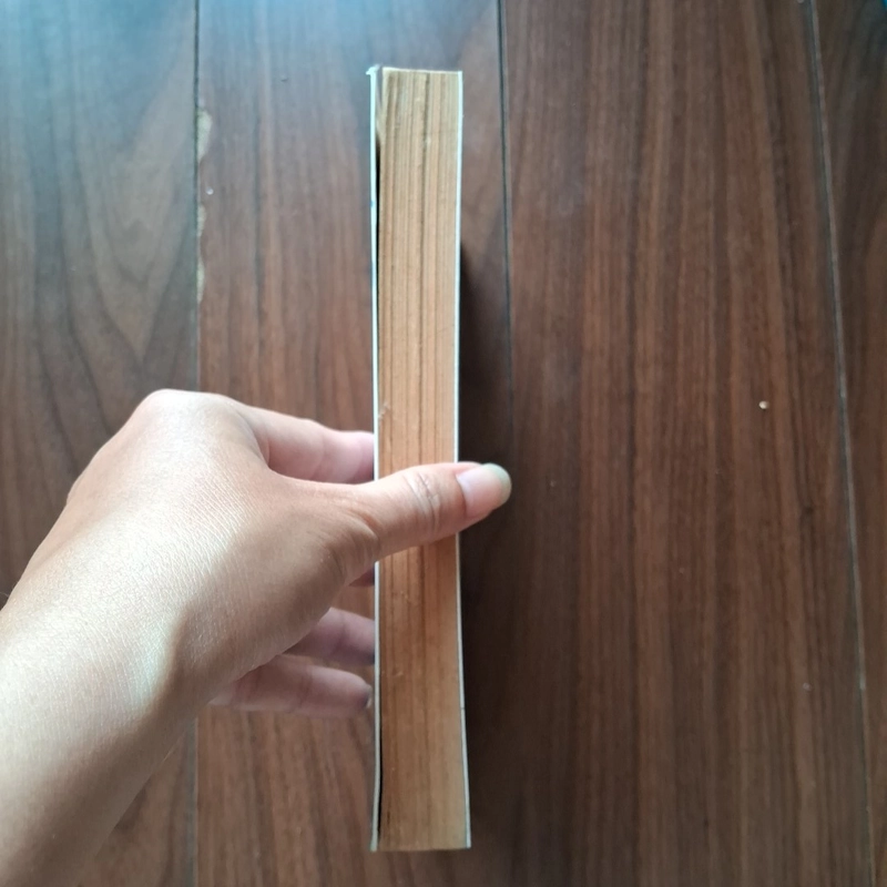 Tình là mãi mãi 505307