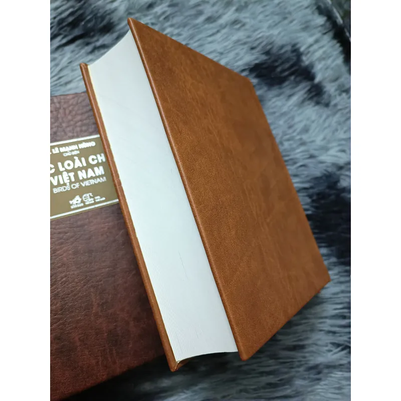 Các loài chim Việt Nam (Lê Mạnh Hùng) 736184