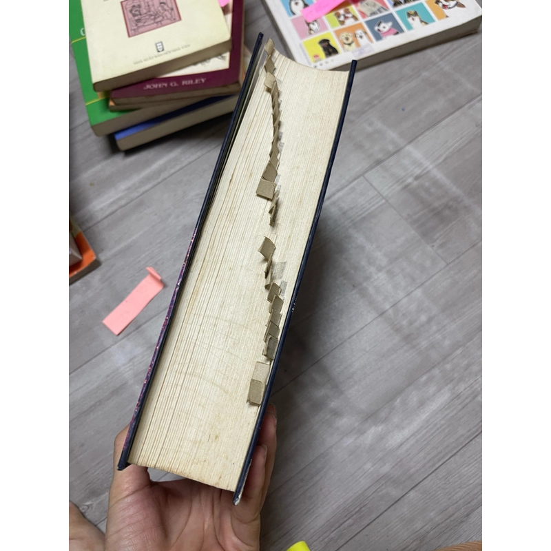 Từ điển Hóa Học Anh việt (rìa có bị dơ) 335245