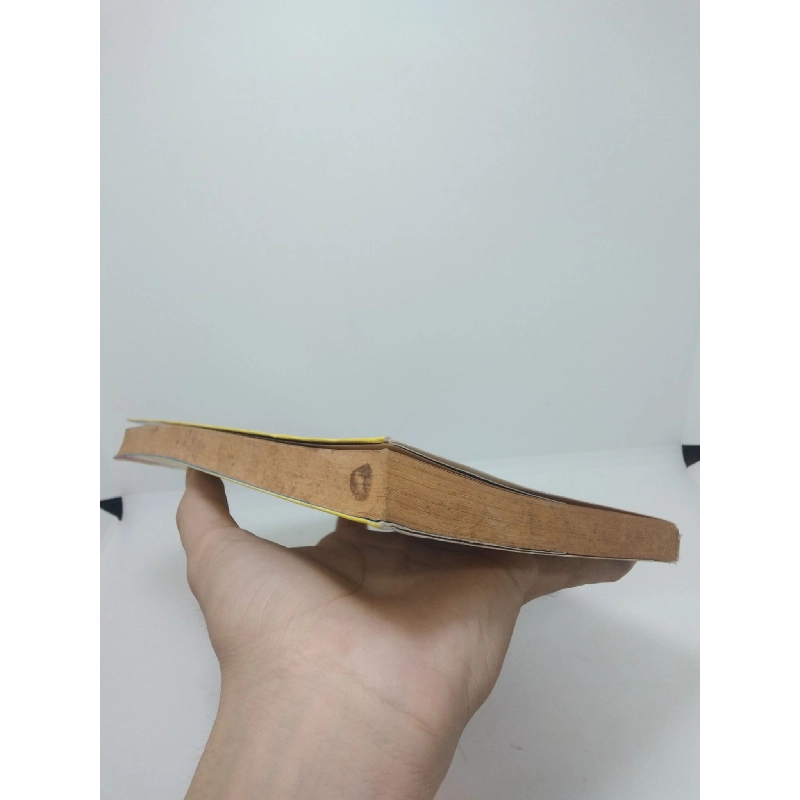 Big Nate một mình một cõi tập 1 năm 2015 mới 70% ố vàng nặng HCM2310 912187