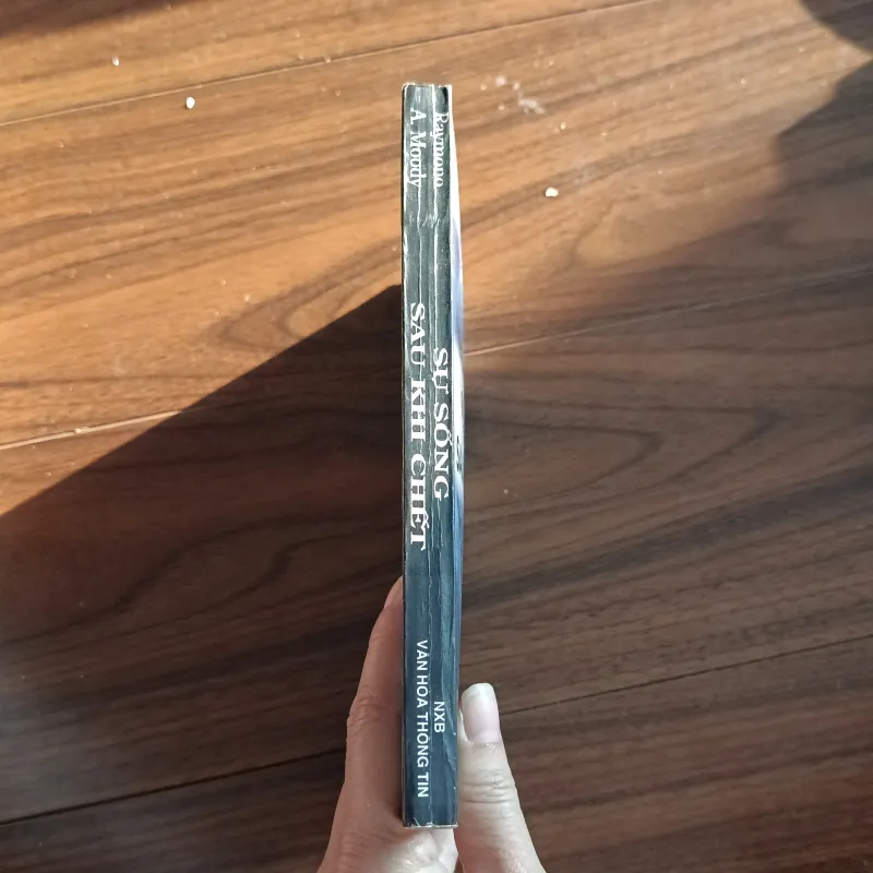 Sự sống sau khi chết 760323