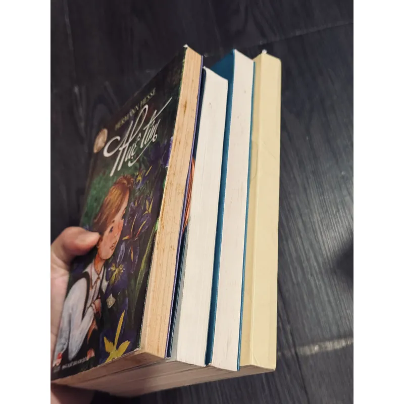 Combo 4 tác phẩm Hermann Hesse (đọc mô tả) 593570