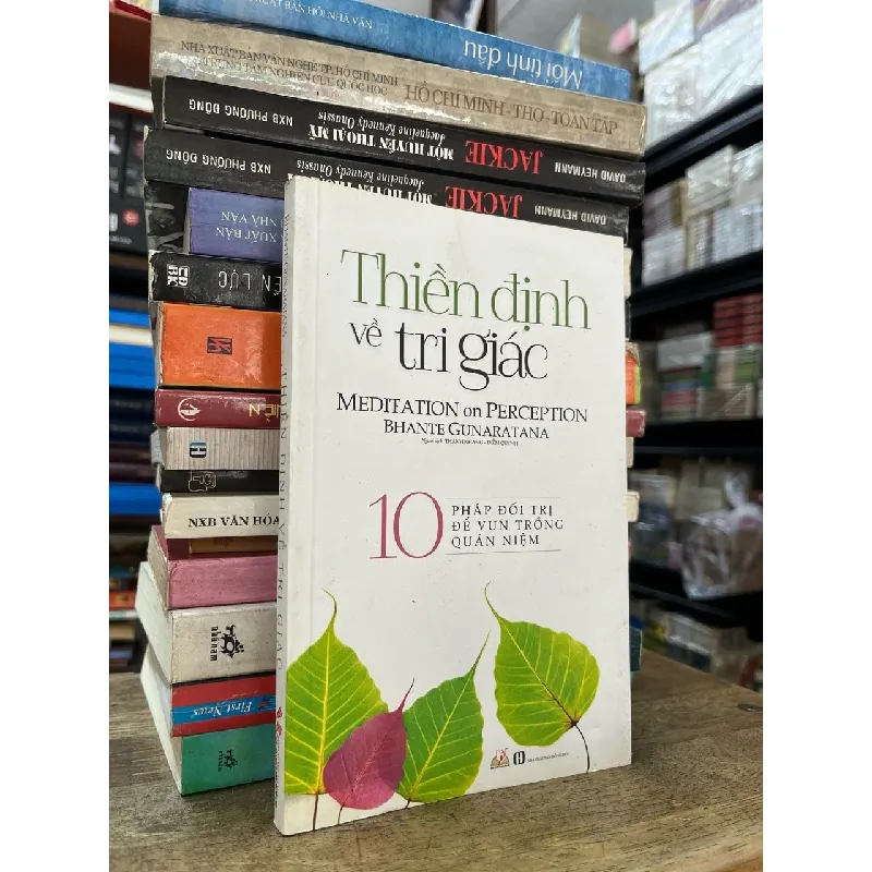 Thiền định về tri giác - Bhante Gunaratana 706966