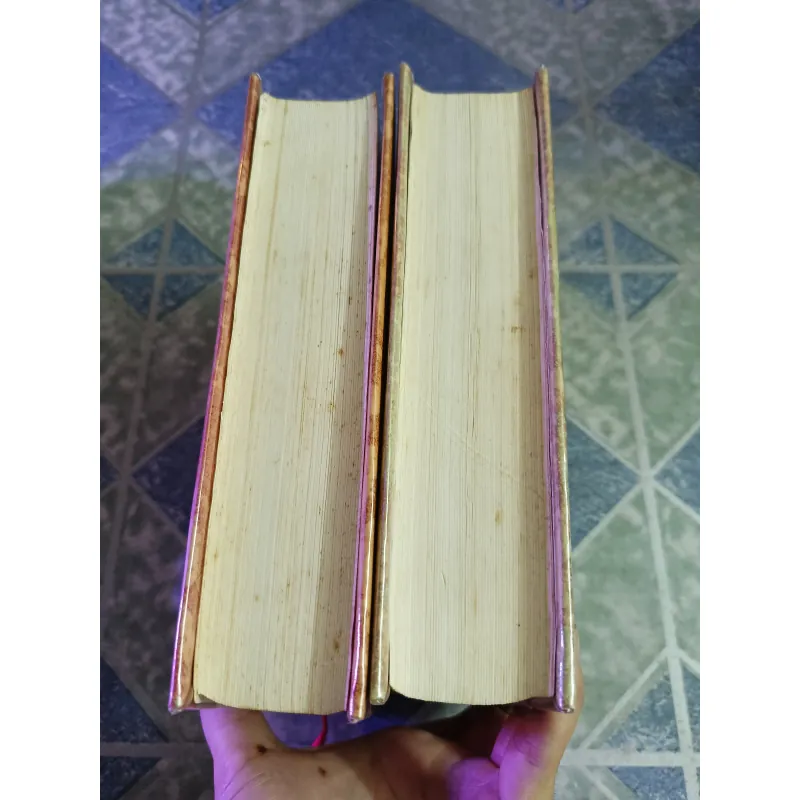 Hồng Lâu Mộng ( 2 tập ) - Tào Tuyết Cần 598353