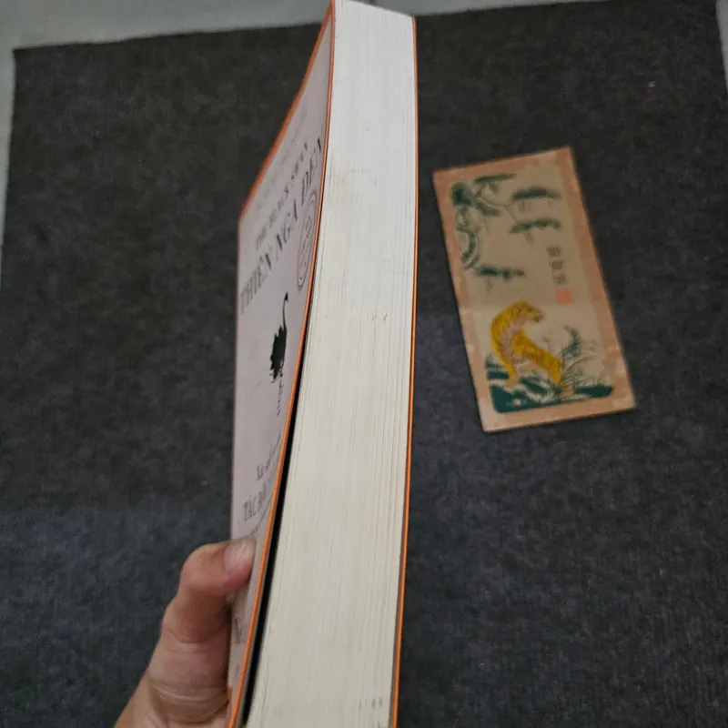 Thiên nga đen  737188