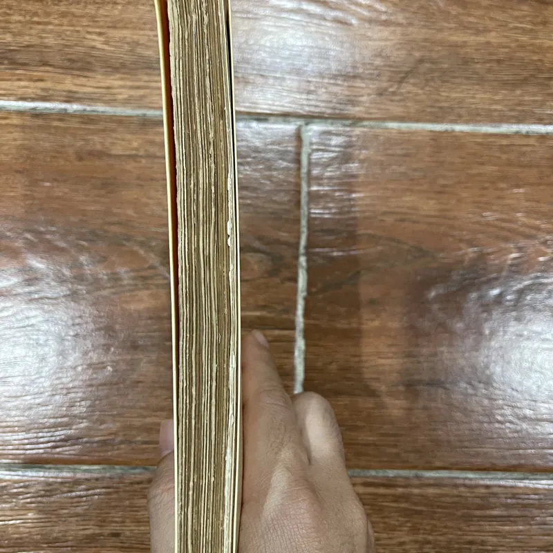 Sơ Lược Lịch Sử Y Tế Việt Nam tập 1  (8) 740380