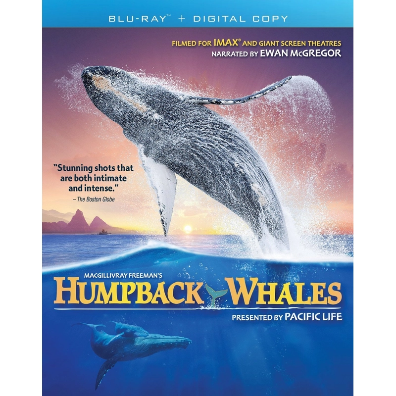 Đĩa BluRay phim tài liệu Humpback Whales 2015 UltraHD 4K 2160p 533957