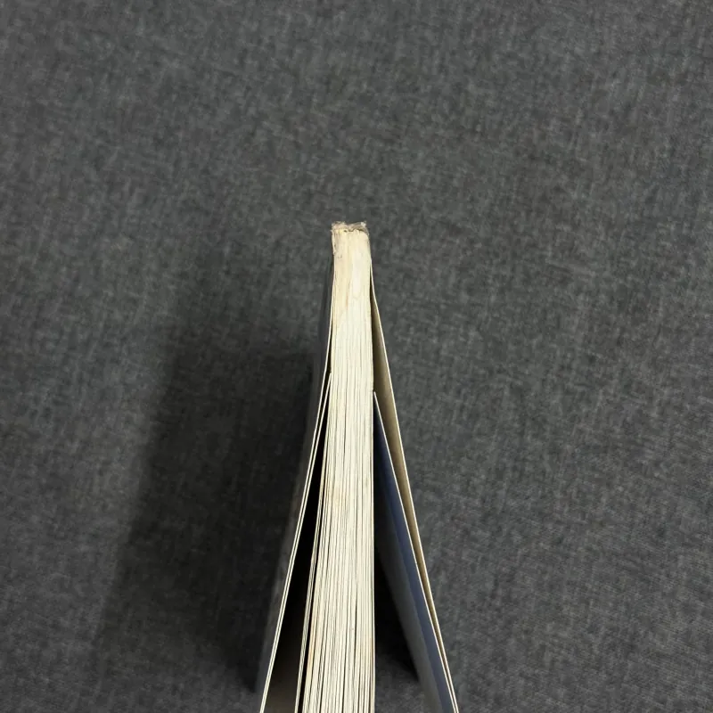 Sống chậm thời @ - Nguyễn Ngọc Tư, Lê Thiếu Nhơn 925877