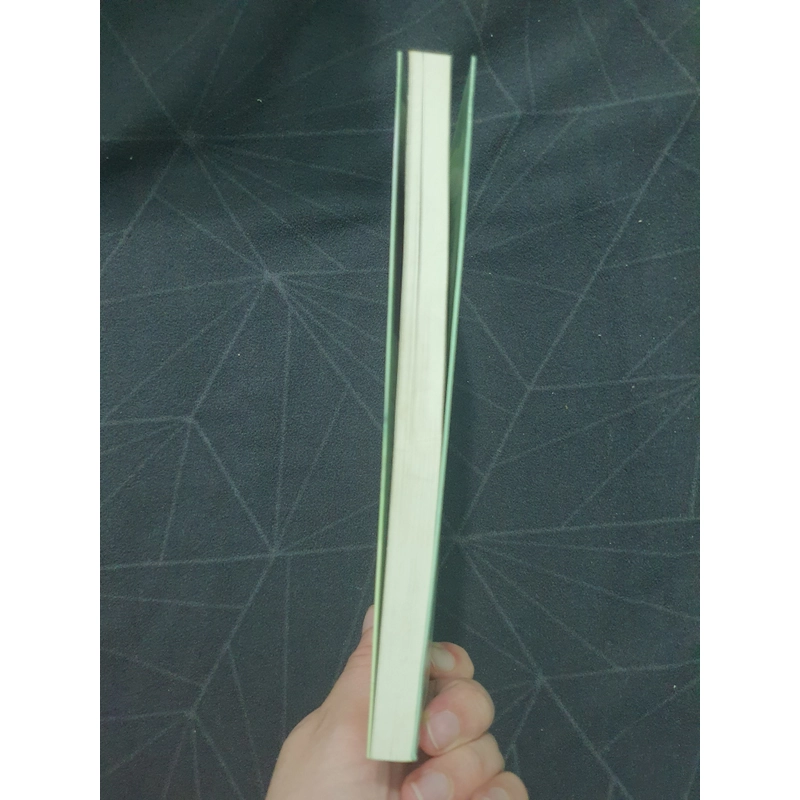 "Đoạn đường để nhớ" - Nicholas Spark 498951