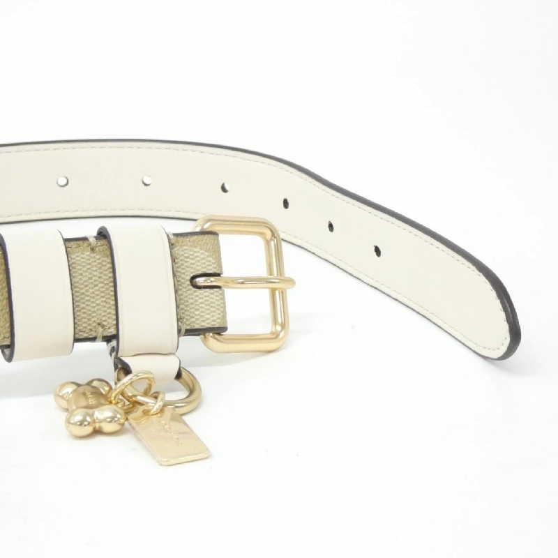 【Sản phẩm mới】Coach CH154 Màu sắc cho thú cưng 625807