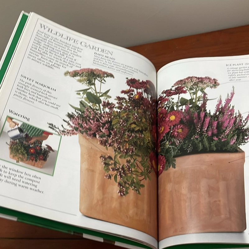 PICTURE BOOK My first green book 536468