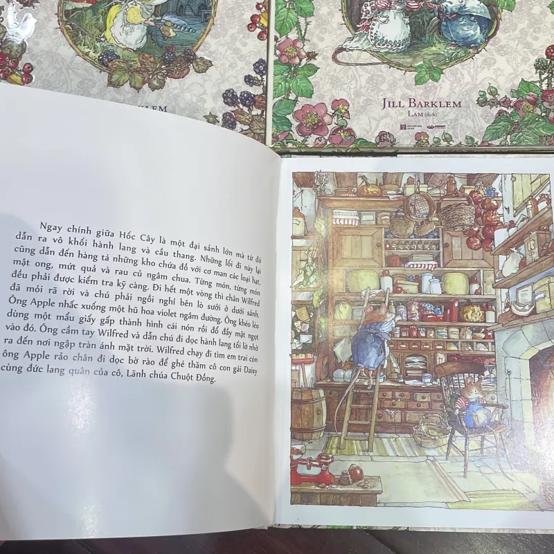 Chuyện bốn mùa : MIỀN DÂU DẠI - JILL BARKLEM  - văn học thiếu nhi kinh điển siêu hay 1036148