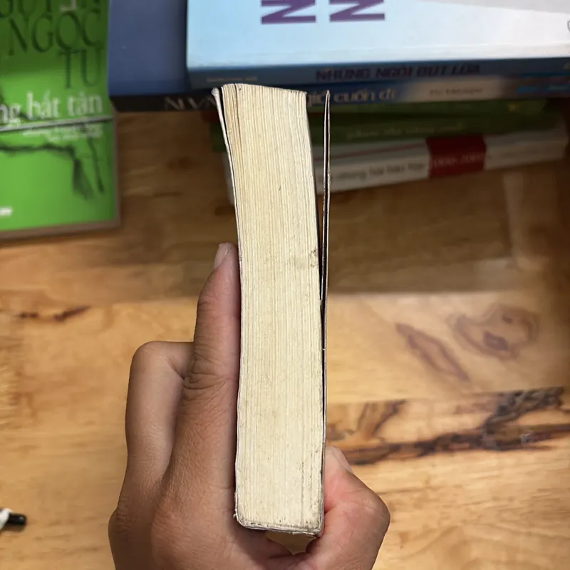 II Tiểu Thuyết Lịch Sử: Ngàn Mặt Trời Rực Rỡ - KHALED HOSSEINI - 2018 699417