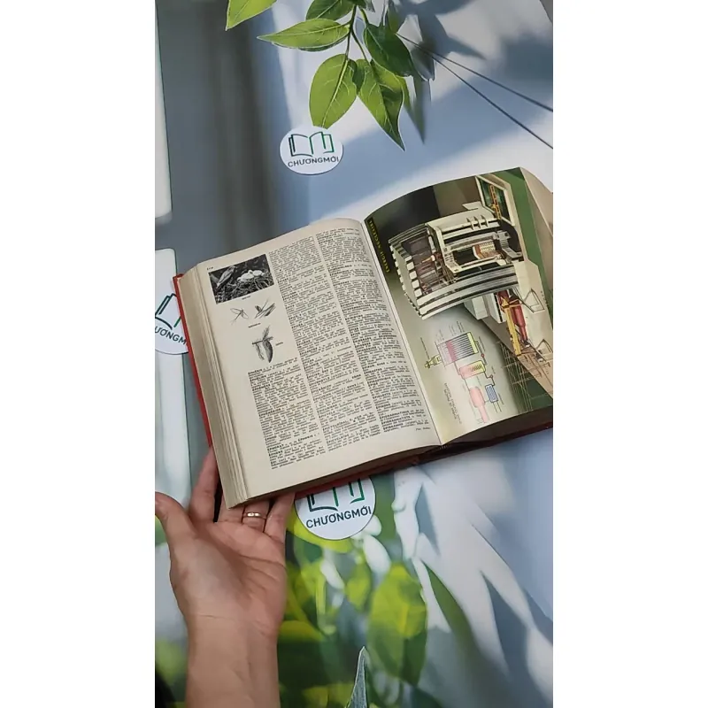 [MIỄN PHÍ BỌC SÁCH] Nouveau Petit Larousse 750740