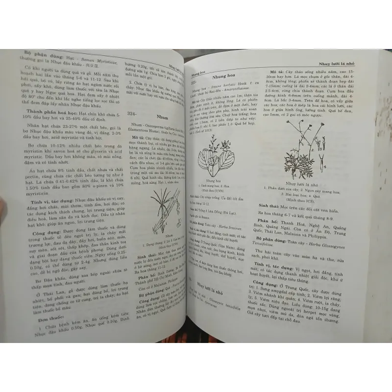 TỪ ĐIỂN CÂY THUỐC VIỆT NAM - VÕ VĂN CHI 455989