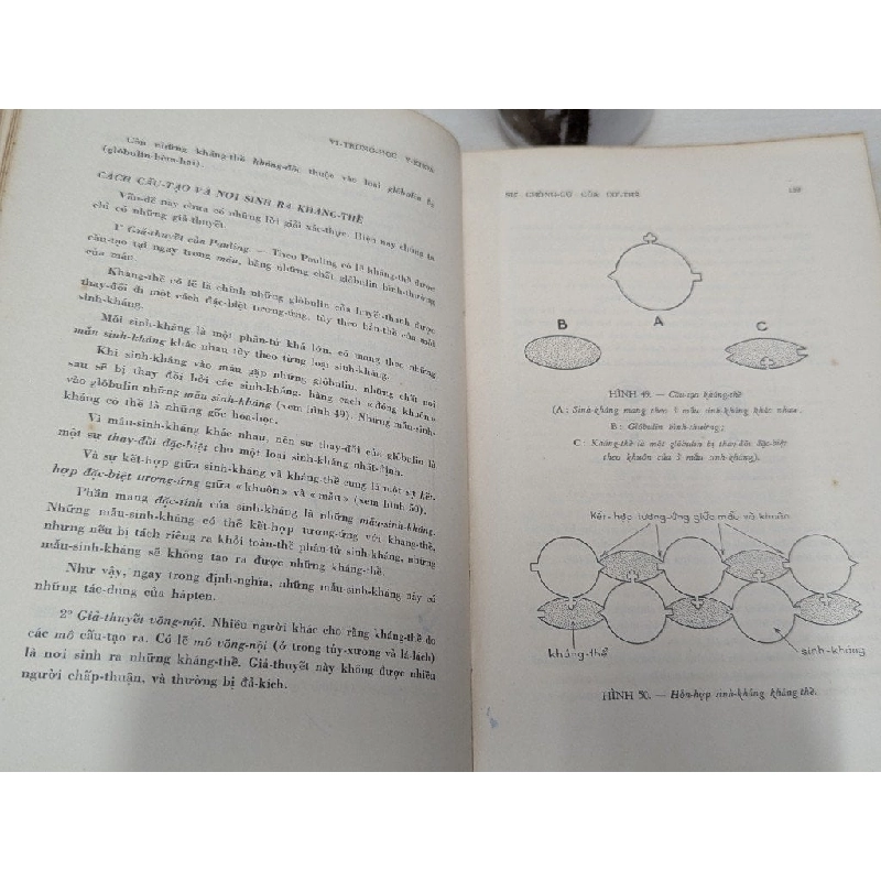 Vi trùng học y khoa - Bác Sĩ Nguyễn Văn Ái 545627