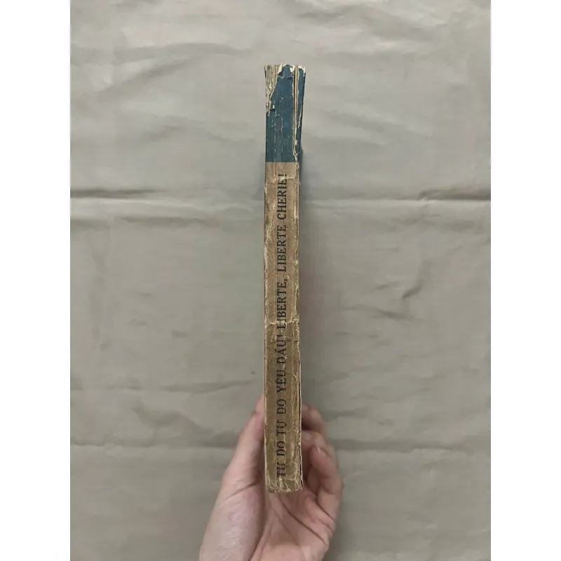 TỰ DO, TỰ DO YÊU DẤU! (Song ngữ Pháp-Việt) 994414