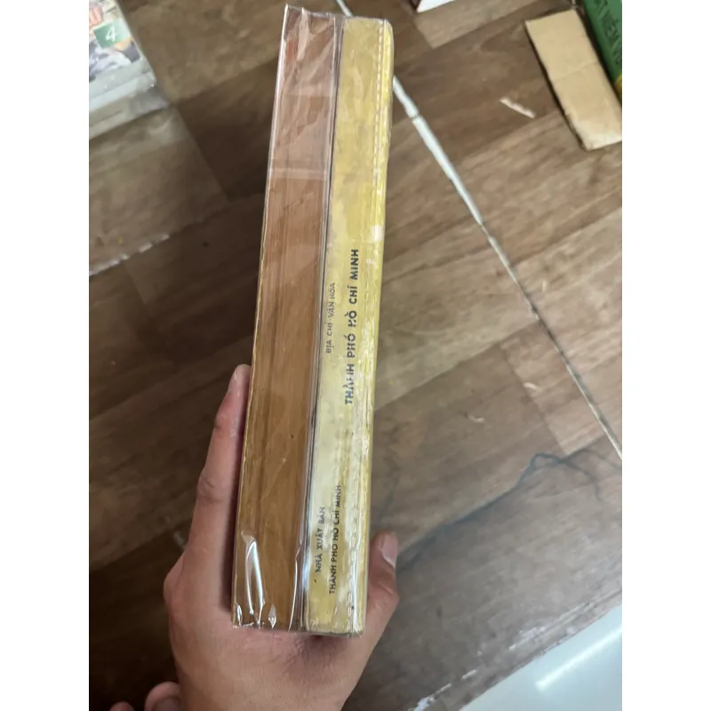 Địa chỉ văn hóa thành phố Hồ Chí Minh 558695