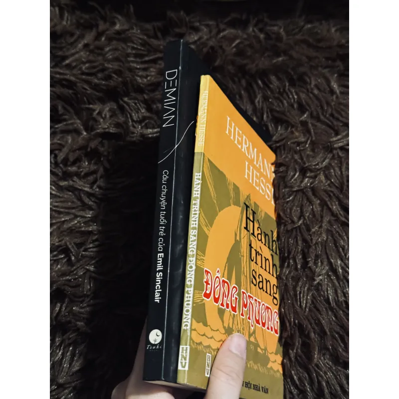 Combo Herman Hesse 996749