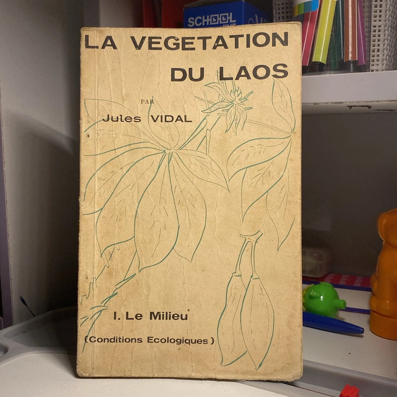 LA VEGETATION DU LAOS (XB 1972) 475644