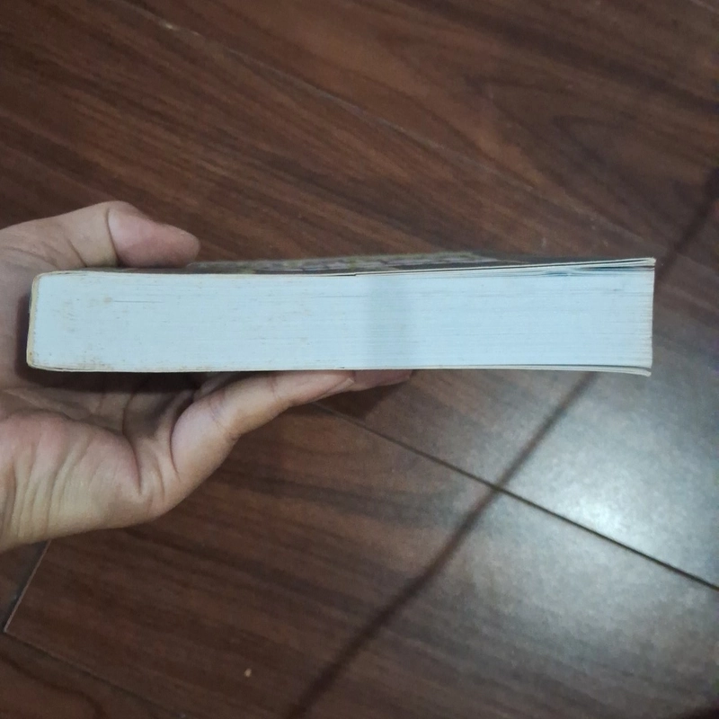 Những hòn cuội nhặt dọc đường 510229