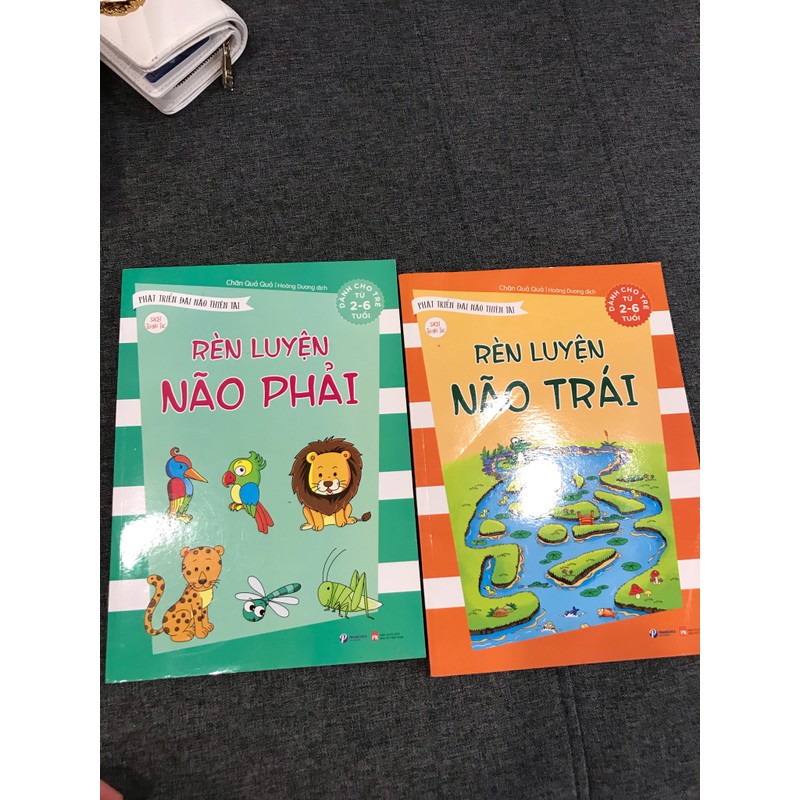 Combo Sách Rèn Luyện Não Trái - Rèn Luyện Não Phải 79176