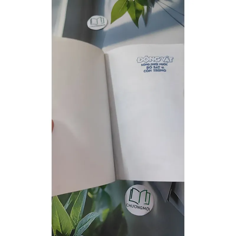 Động vật: Sống dưới nước, bò sát và côn trùng - An Khánh 1018832