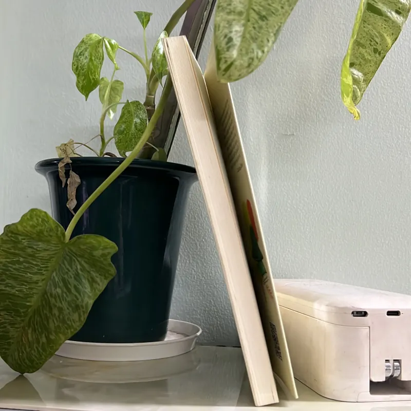 Chúng tôi thời hậu chiến - Vũ Công Chiến 750722